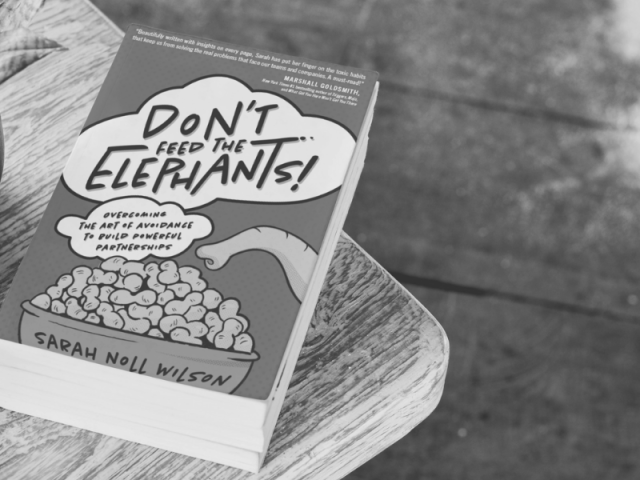 why i wrote dont feed the elephants